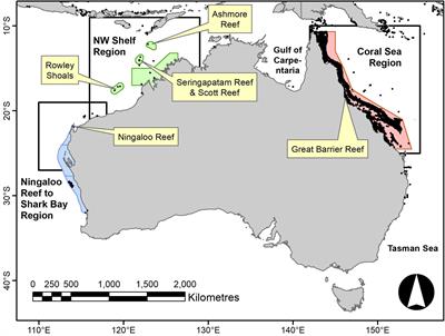 A New Operational Seasonal Thermal Stress Prediction Tool for Coral Reefs Around Australia